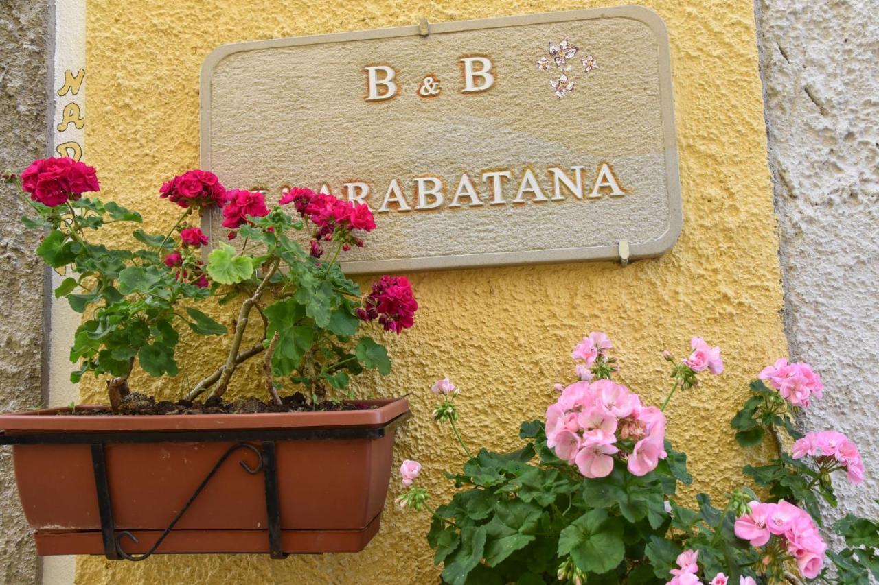 B&B L'Arabatana 皮耶特拉佩尔托萨 外观 照片